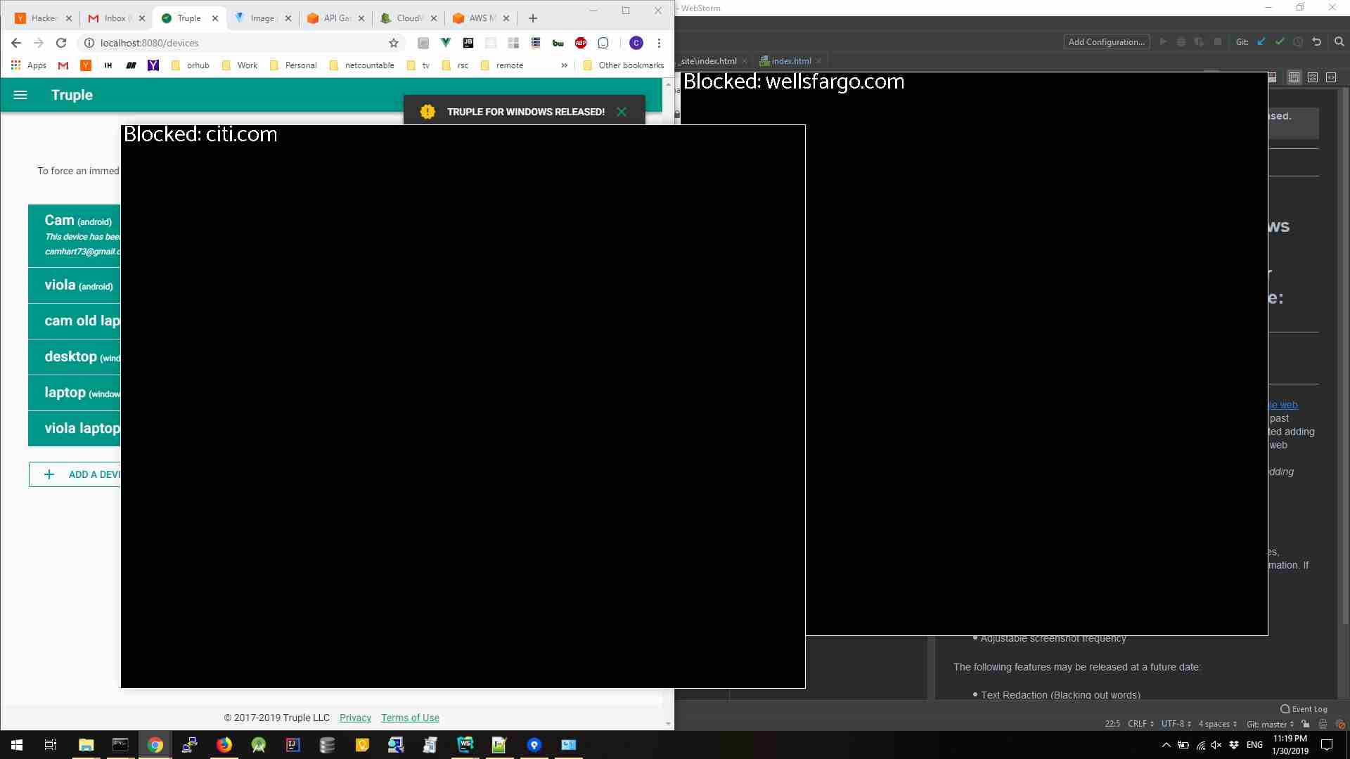Truple screenshot accountability bank website blocking to maintain privacy